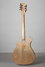 Rickenbacker 620/12 , Mapleglo: Full Instrument - Rear
