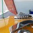 Rickenbacker 360/12 Mod, Mapleglo: Neck - Front