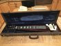 Rickenbacker 102/6 LapSteel, Burgundy: Free image