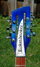 Jul 2006 Rickenbacker 620/12 , Blueburst: Headstock