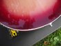 Rickenbacker 360/6 , Fireglo: Free image