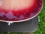 Rickenbacker 360/6 , Fireglo: Free image2