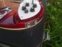 Rickenbacker 360/6 , Fireglo: Close up - Free