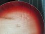 May 1998 Rickenbacker 370/6 , Fireglo: Body - Rear