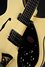 Rickenbacker 360/6 SPC, Ivory: Close up - Free