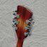 Rickenbacker 360/12 , Fireglo: Headstock - Rear