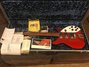 Rickenbacker 350/6 V63, Ruby: Free image2