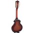Rickenbacker 5002/8 V58, Fireglo: Full Instrument - Rear