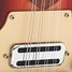 Rickenbacker 5002/8 V58, Fireglo: Close up - Free2