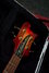 Rickenbacker 4004/4 Cii, Fireglo: Headstock