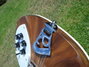 Rickenbacker 360/12 , Natural Walnut: Close up - Free2