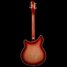 Rickenbacker 360/6 CW, Fireglo: Full Instrument - Rear