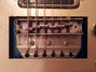 Rickenbacker 450/6 Combo, Custom: Close up - Free