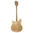 Rickenbacker 360/12 , Mapleglo: Full Instrument - Rear