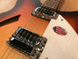 Rickenbacker 330/6 One Off, Matte Tobacco: Free image