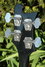 Rickenbacker 4001/4 C64S, Jetglo: Headstock - Rear