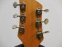 Rickenbacker 325/6 C58, Mapleglo: Headstock - Rear