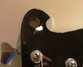 Rickenbacker 4004/4 Laredo, Jetglo: Close up - Free