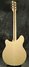 Rickenbacker 360/6 , Mapleglo: Full Instrument - Rear