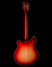 Rickenbacker 360/6 , Fireglo: Full Instrument - Rear