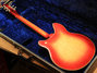 Rickenbacker 370/6 , Fireglo: Full Instrument - Rear