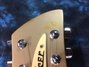 Rickenbacker 330/6 , Desert Gold: Close up - Free2