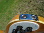 Rickenbacker 4003/4 , Mapleglo: Close up - Free