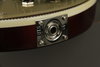 Rickenbacker 660/6 , Ruby: Close up - Free