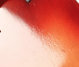Rickenbacker 456/12 , Fireglo: Free image