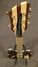 Rickenbacker 380/6 Laguna, Walnut: Neck - Front