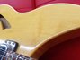 Rickenbacker 330/12 , Mapleglo: Close up - Free2
