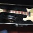 Rickenbacker 660/12 , Mapleglo: Free image2