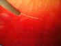 Rickenbacker 330/6 Mod, Fireglo: Close up - Free