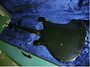 Rickenbacker 4001/4 , Jetglo: Full Instrument - Rear