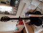 Rickenbacker 360/12 , Jetglo: Full Instrument - Rear