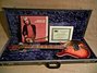 Rickenbacker 660/12 TP, Fireglo: Close up - Free2