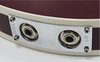 Rickenbacker 360/12 C64, Fireglo: Close up - Free