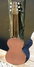 Rickenbacker Ace/6 LapSteel, Copper: Full Instrument - Rear
