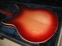 Feb 1994 Rickenbacker 360/6 V64, Fireglo: Body - Rear