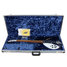 Rickenbacker 330/6 , Midnightblue: Free image