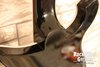 Rickenbacker 660/6 , Jetglo: Neck - Rear
