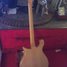 Rickenbacker 625/6 , Mapleglo: Full Instrument - Rear