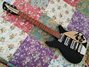 Rickenbacker 355/6 V63, Jetglo: Full Instrument - Front