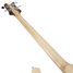 Rickenbacker 4003/4 , Mapleglo: Neck - Rear