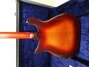 Rickenbacker 660/12 TP, Fireglo: Full Instrument - Rear