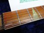 Rickenbacker 660/12 TP, Fireglo: Neck - Front