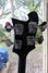 Rickenbacker 4003/4 , Jetglo: Headstock - Rear