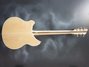 Rickenbacker 360/6 , Mapleglo: Full Instrument - Rear