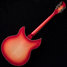 Rickenbacker 1993/12 Plus, Fireglo: Full Instrument - Rear