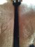 Rickenbacker 4003/4 , Midnightblue: Neck - Rear